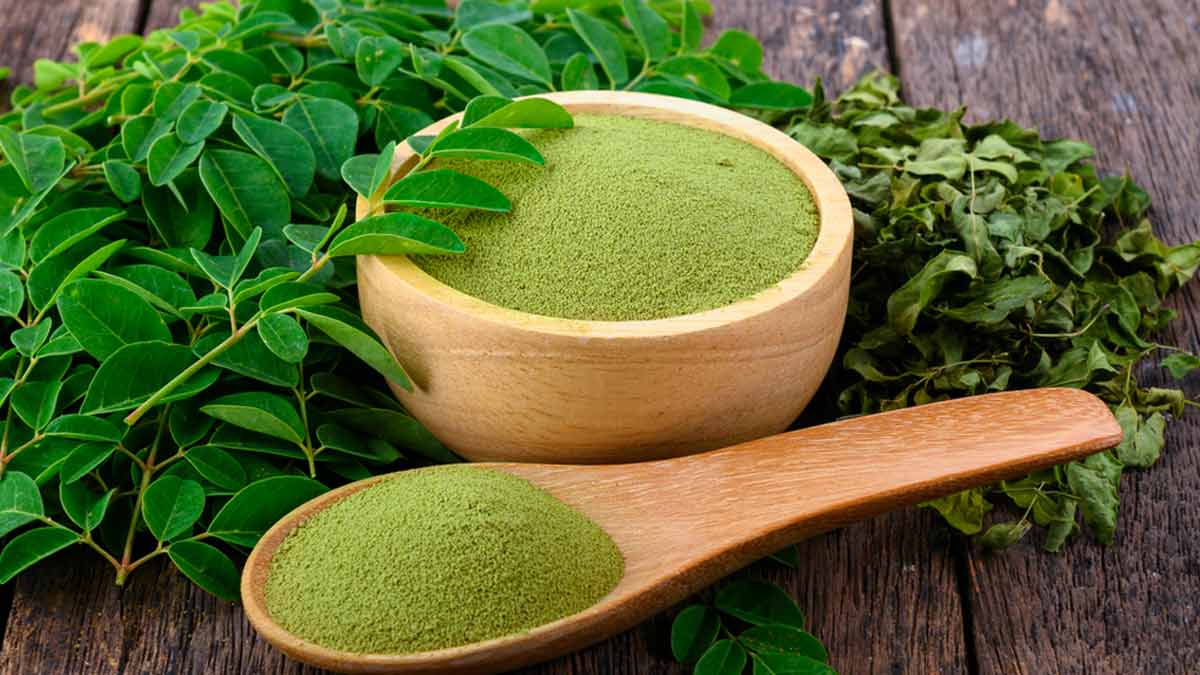 Main-moringa Moringa Magic Powder 500gm